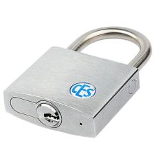 CES WD - Hangslot